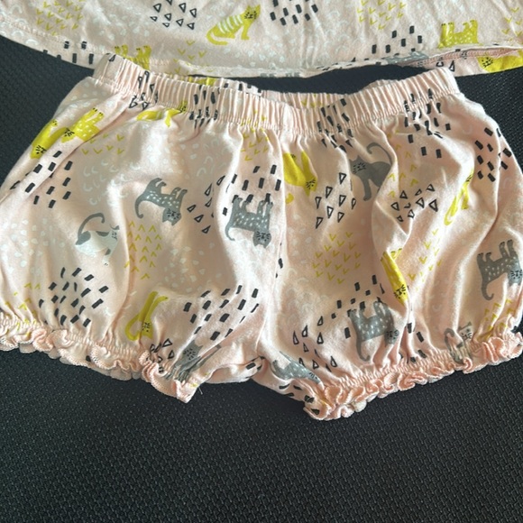 Tucker and Tate matching kitty set - Picture 3 of 5